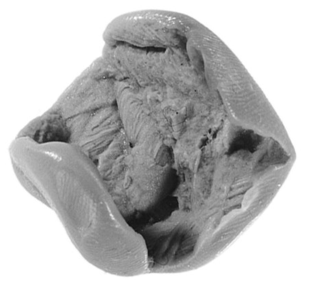 Sealing, Clay (unfired)