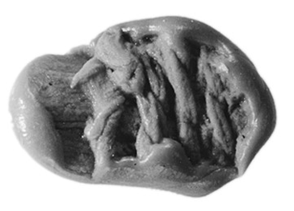 Sealing, Clay (unfired)