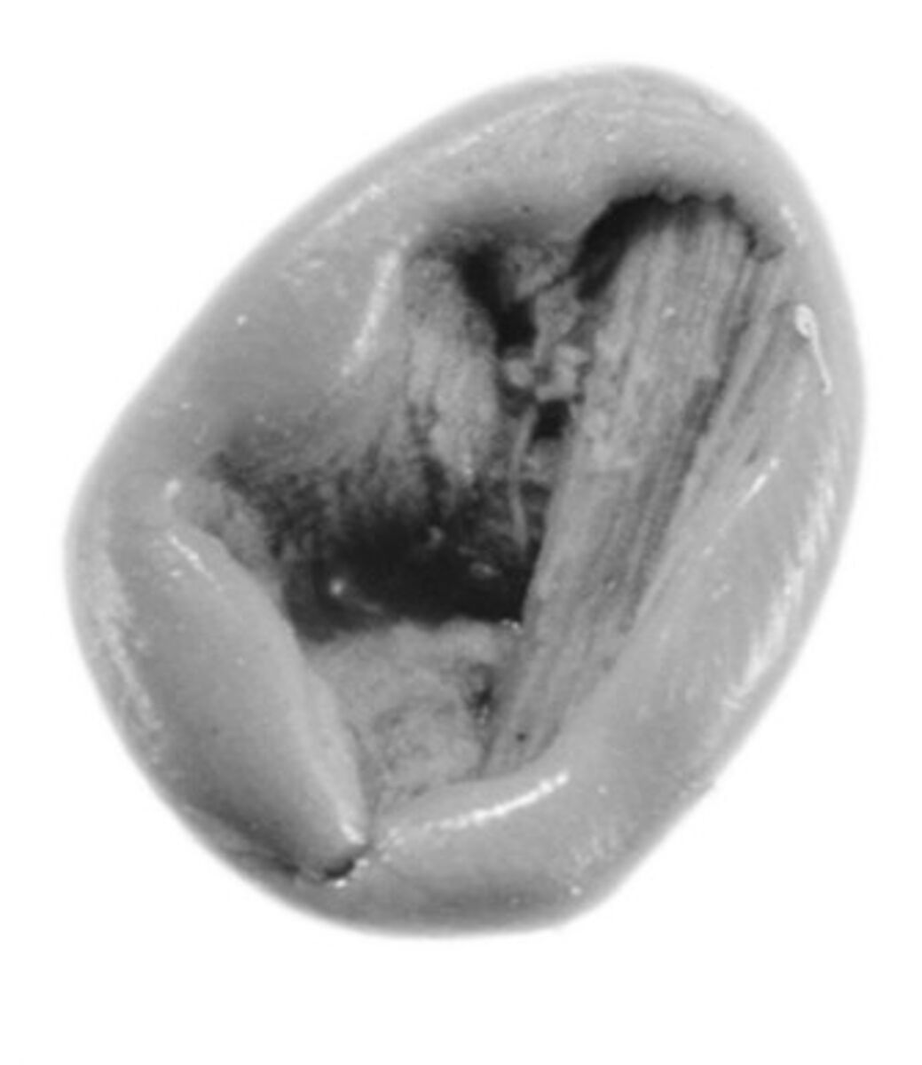 Sealing, Clay (unfired)