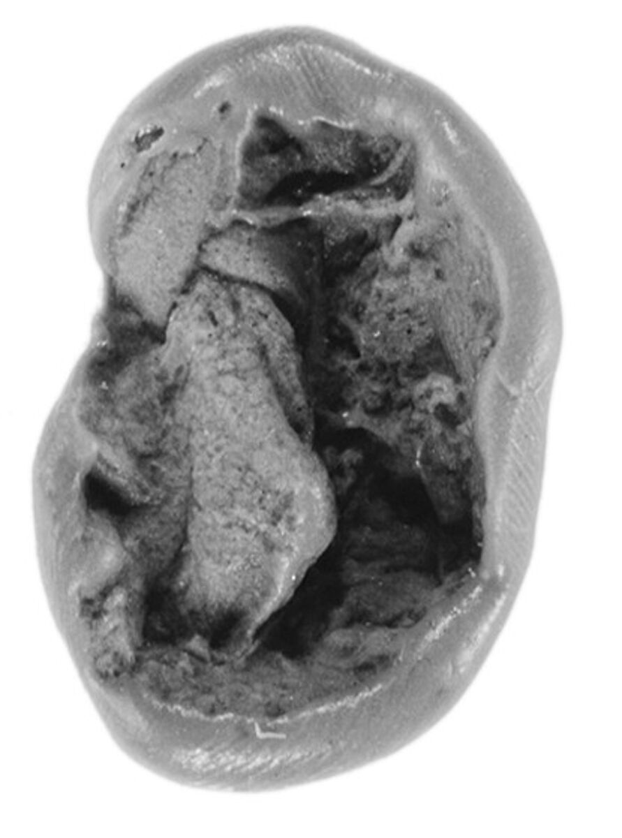 Sealing, Clay (unfired)