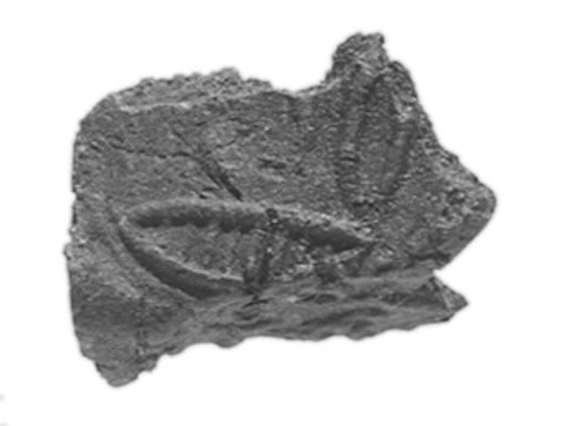 Sealing, Clay (unfired)