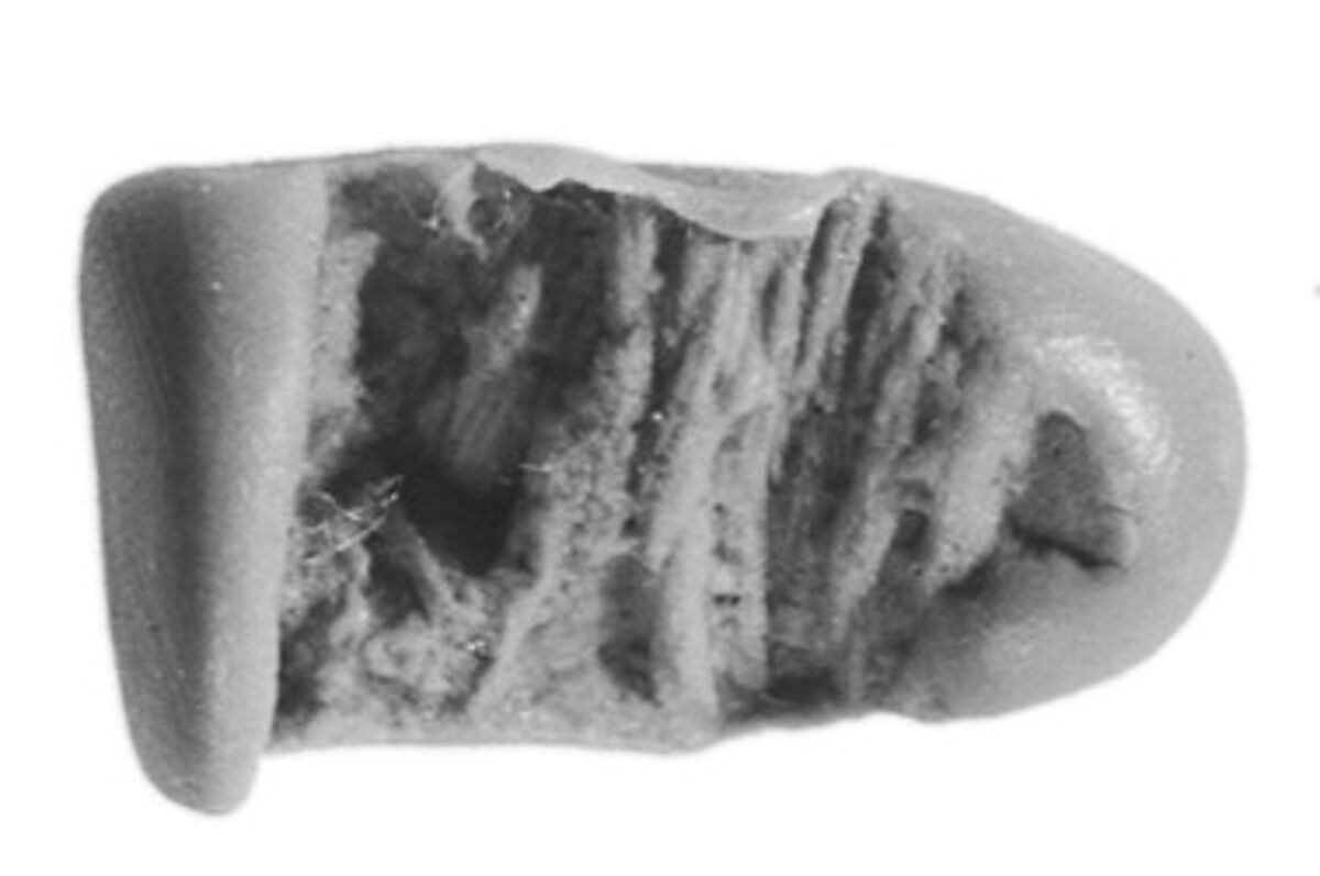 Sealing, Clay (unfired)