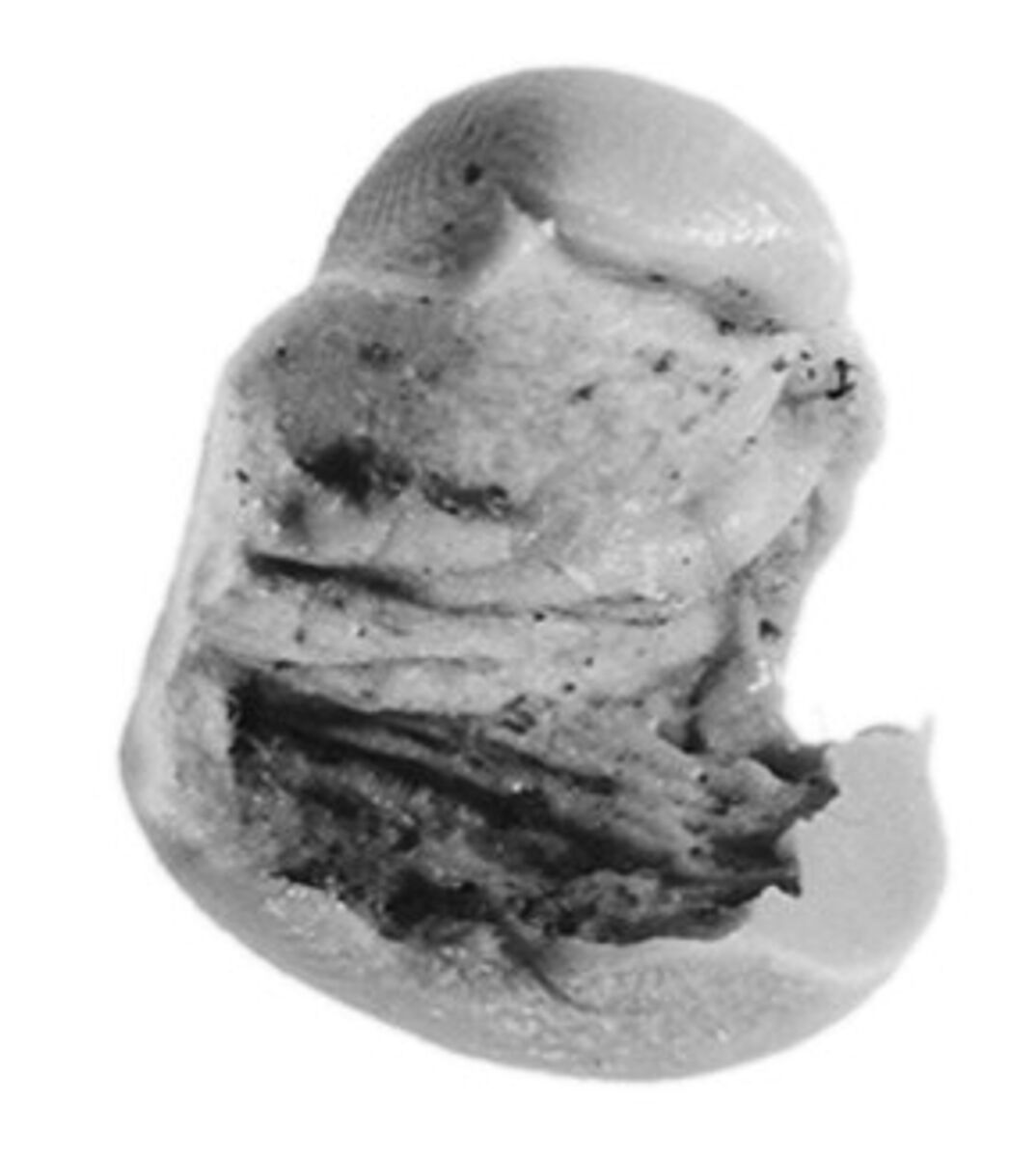Sealing, Clay (unfired)