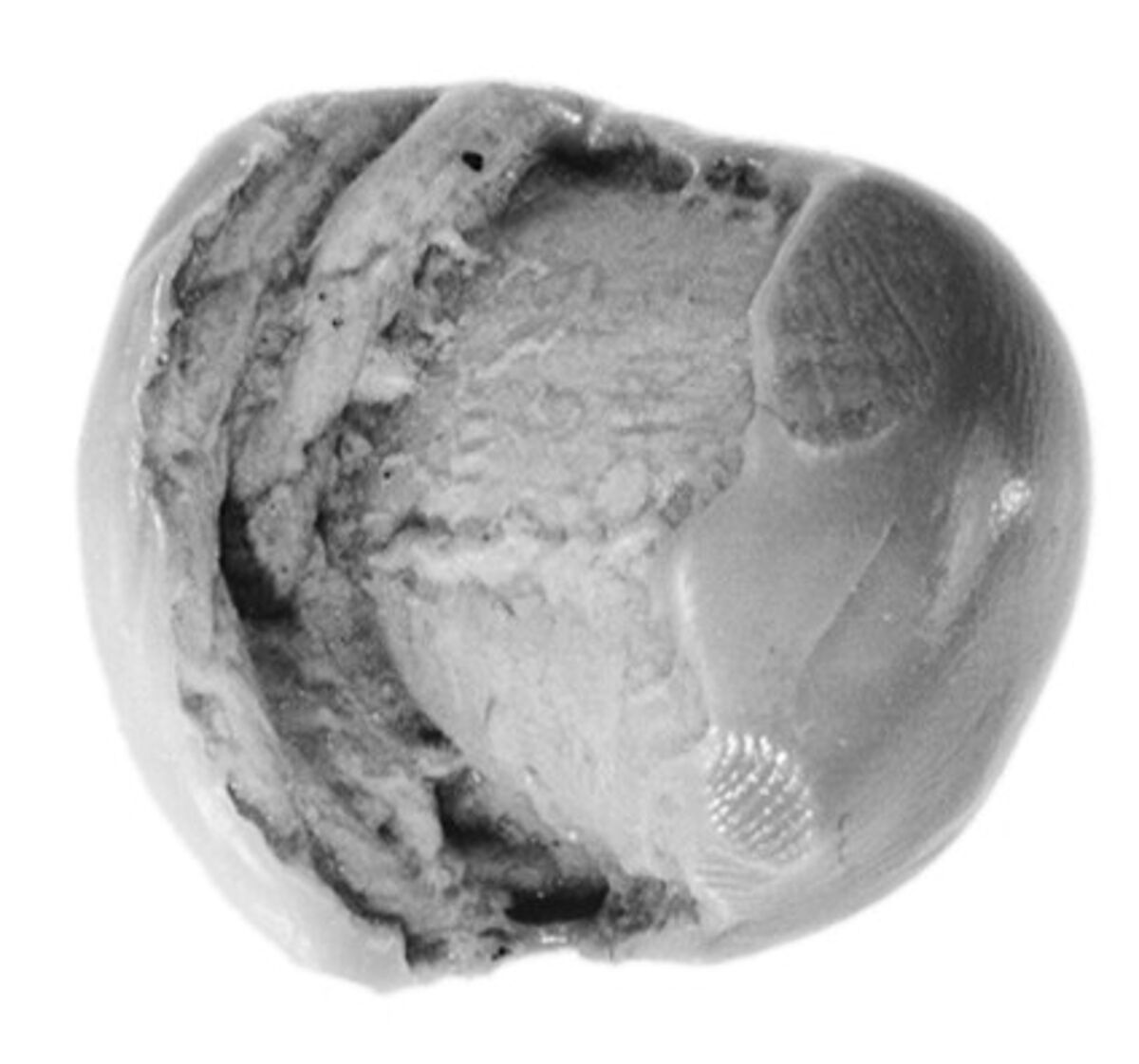 Sealing, Clay (unfired)