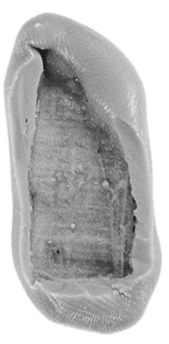 Sealing, Clay (unfired)