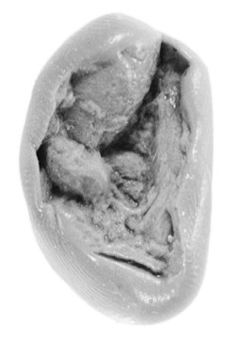 Sealing, Clay (unfired)