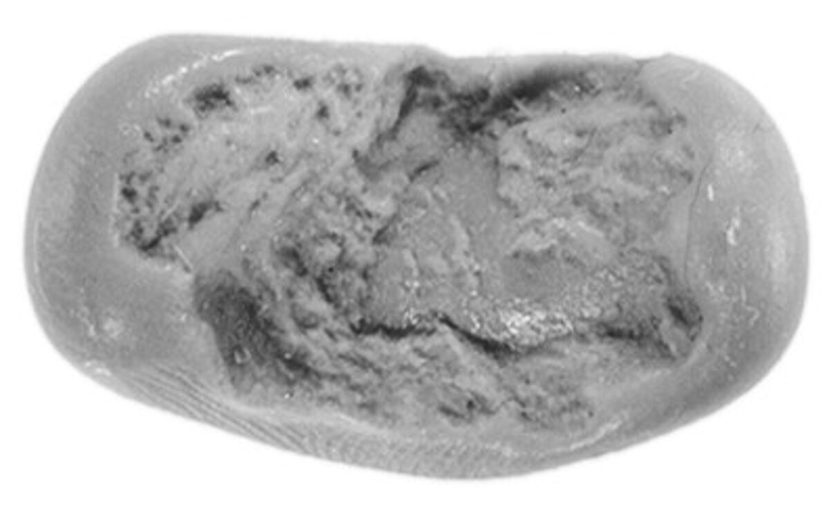 Sealing, Clay (unfired)