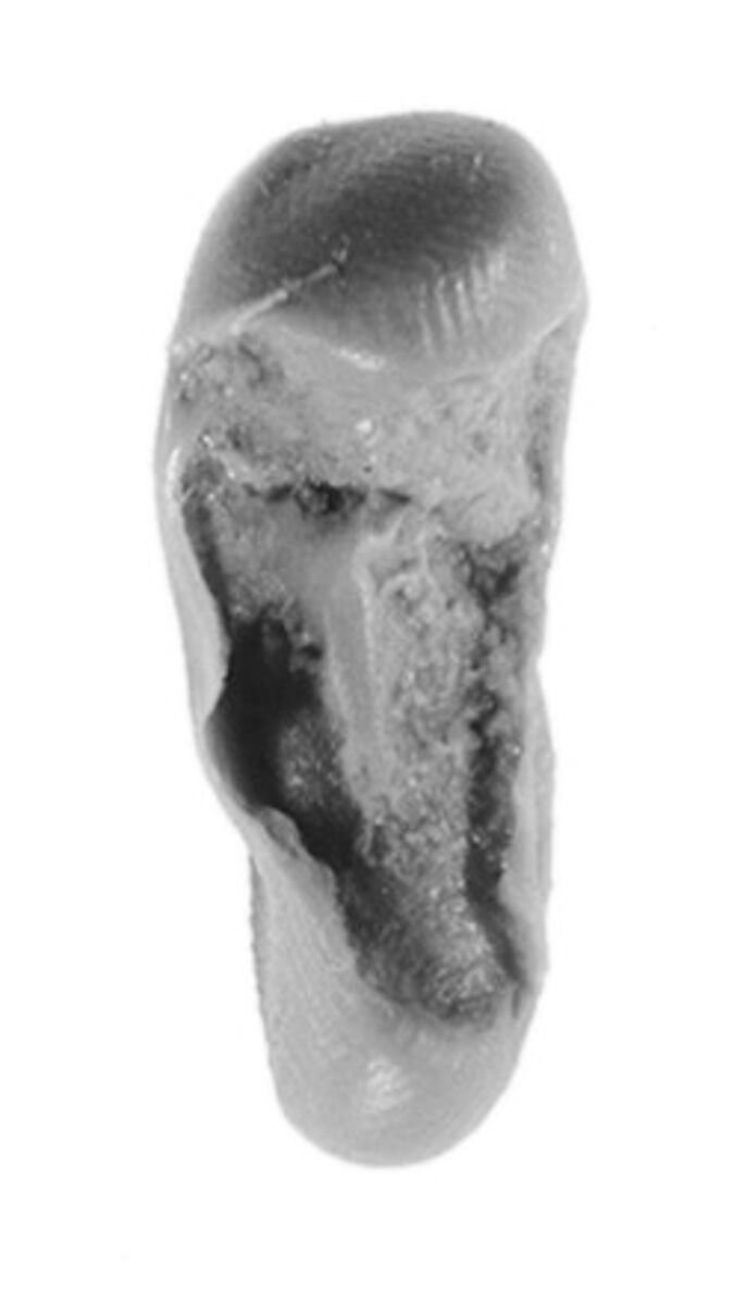 Sealing, Clay (unfired)