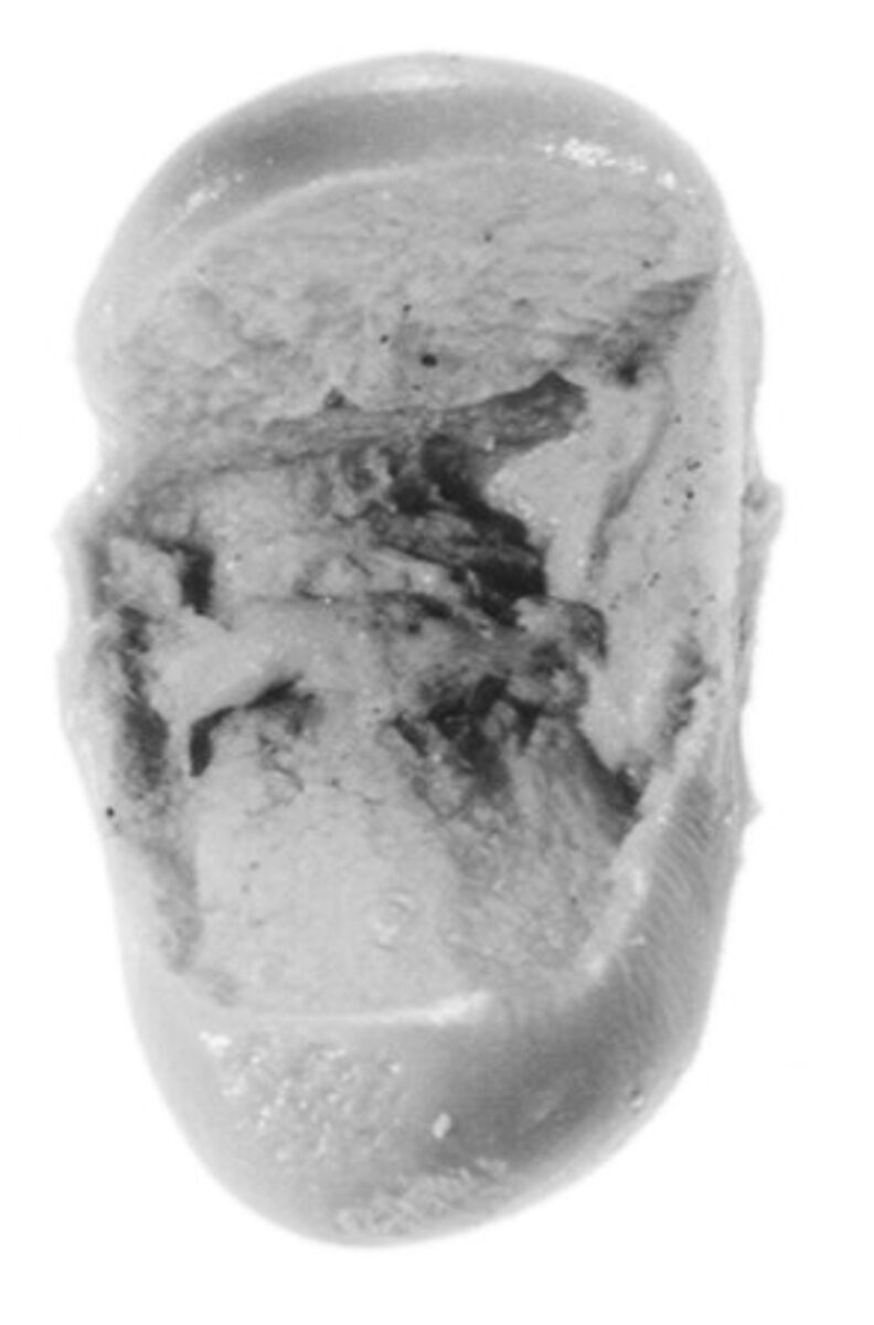 Sealing, Clay (unfired)