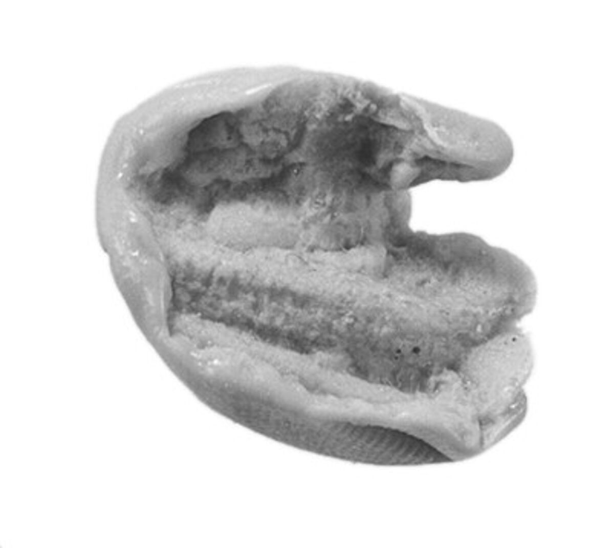 Sealing, Clay (unfired)