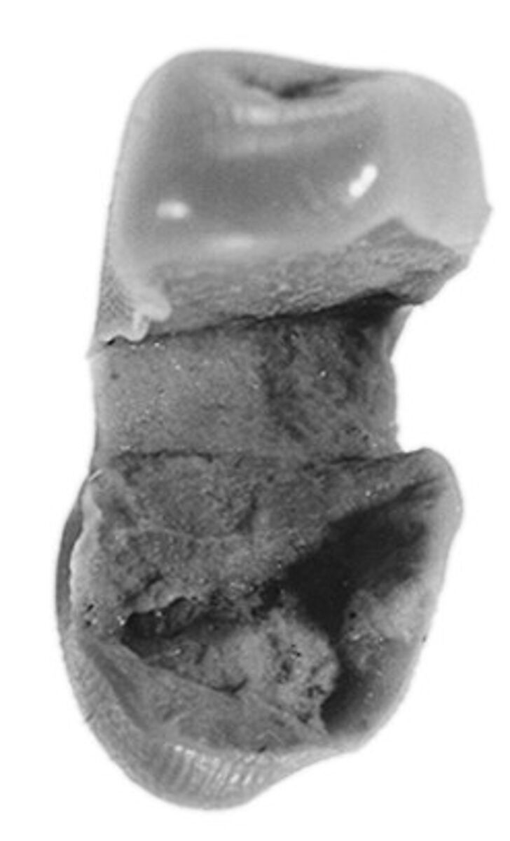 Sealing, Clay (unfired)