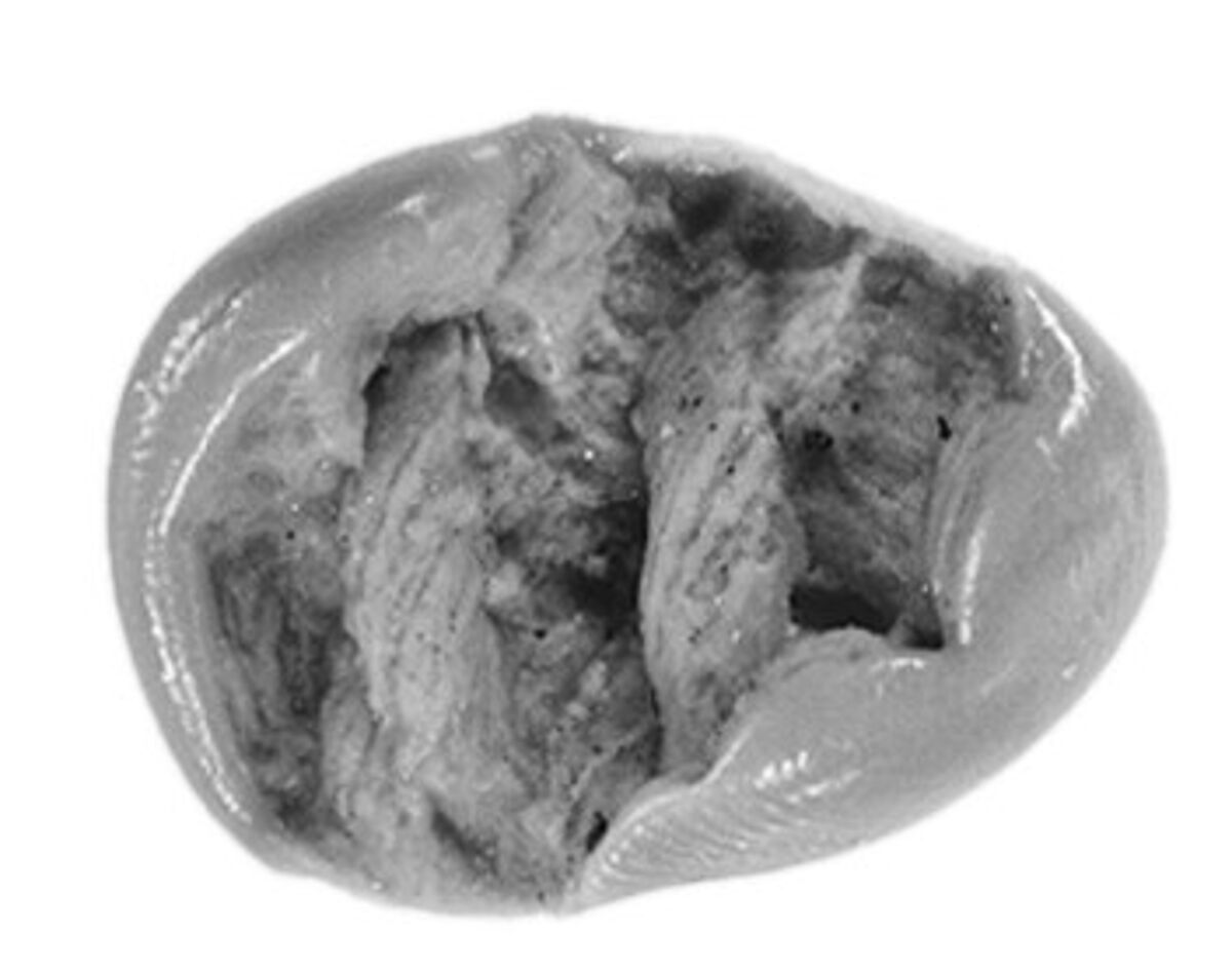 Sealing, Clay (unfired)