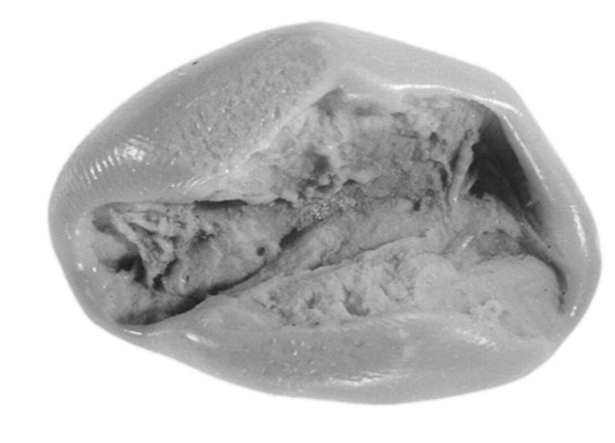 Sealing, Clay (unfired)