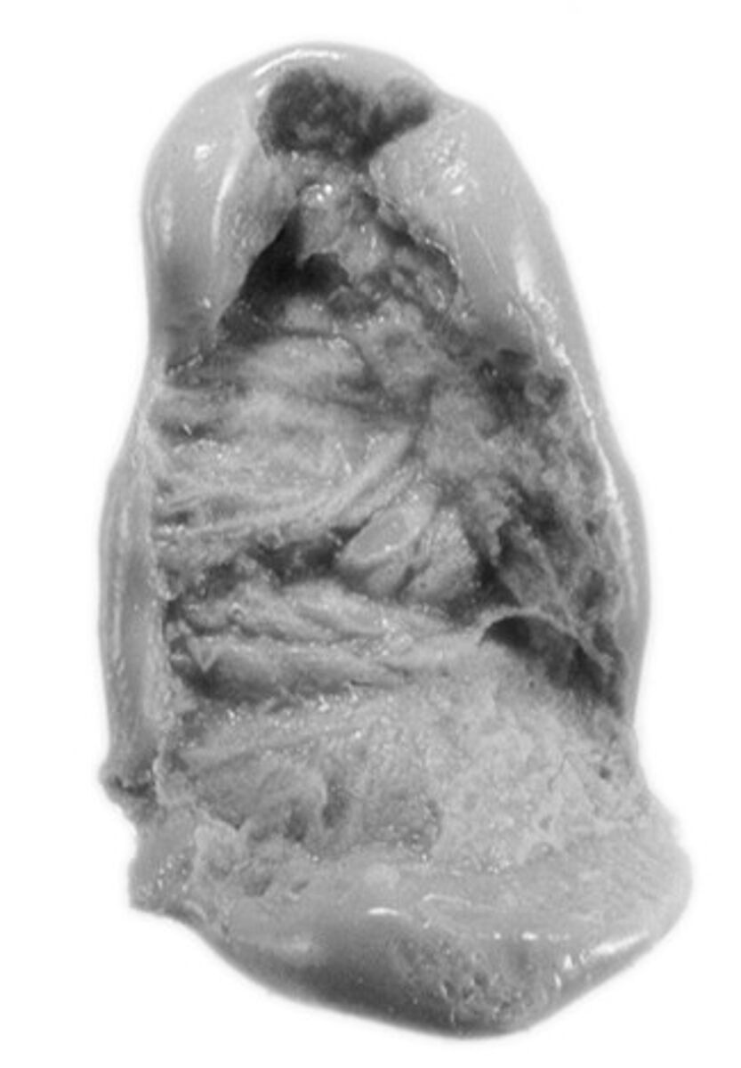 Sealing, Mud