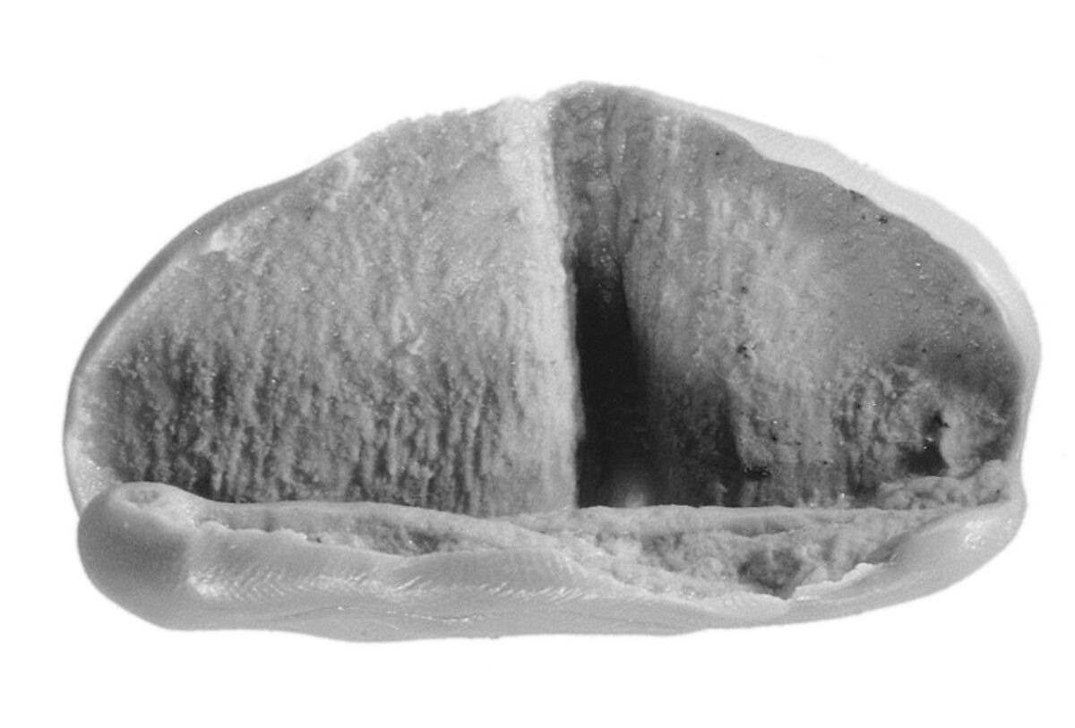 Sealing fragment, Clay (unfired)