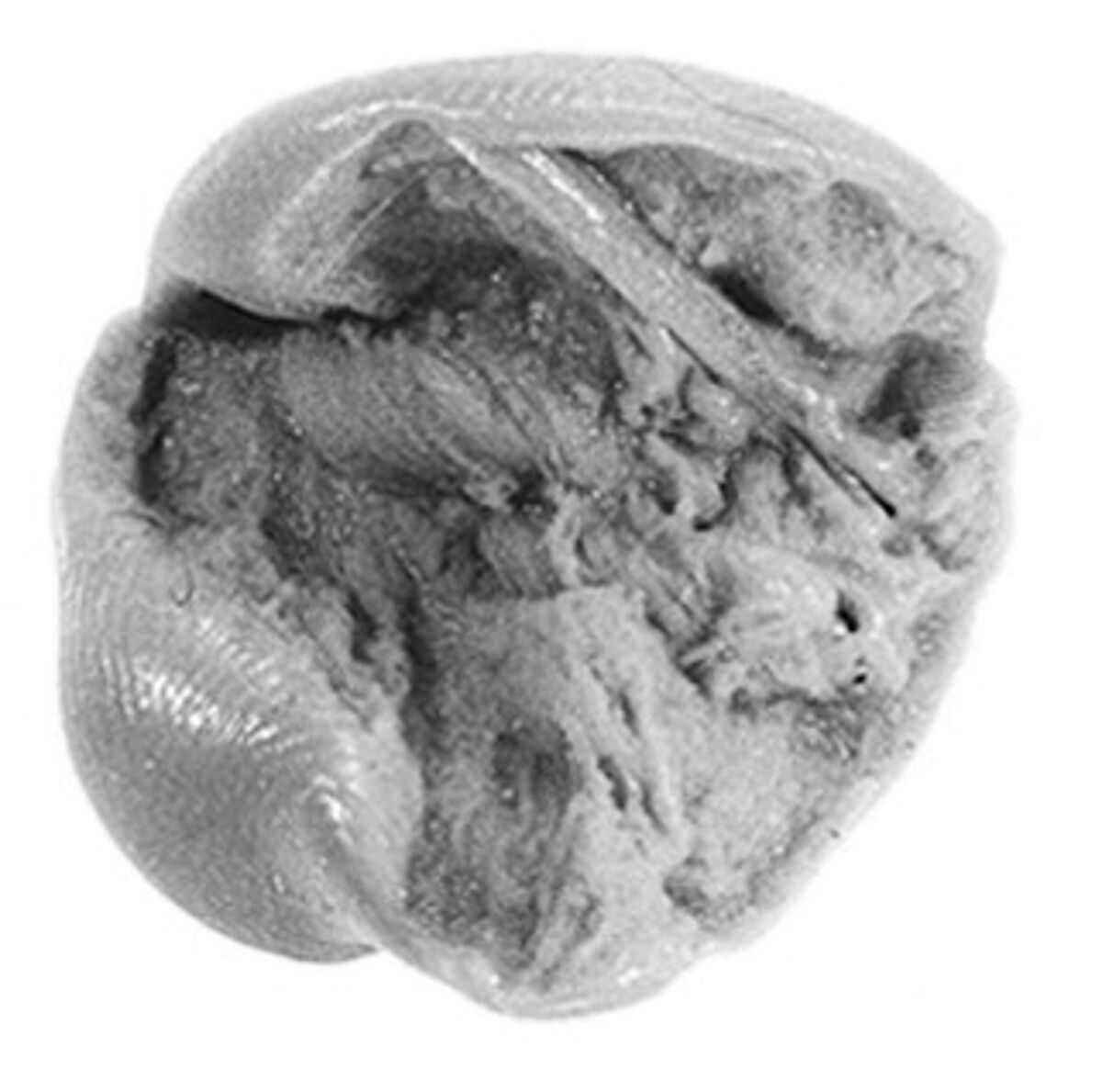 Sealing fragment, Clay (unfired)
