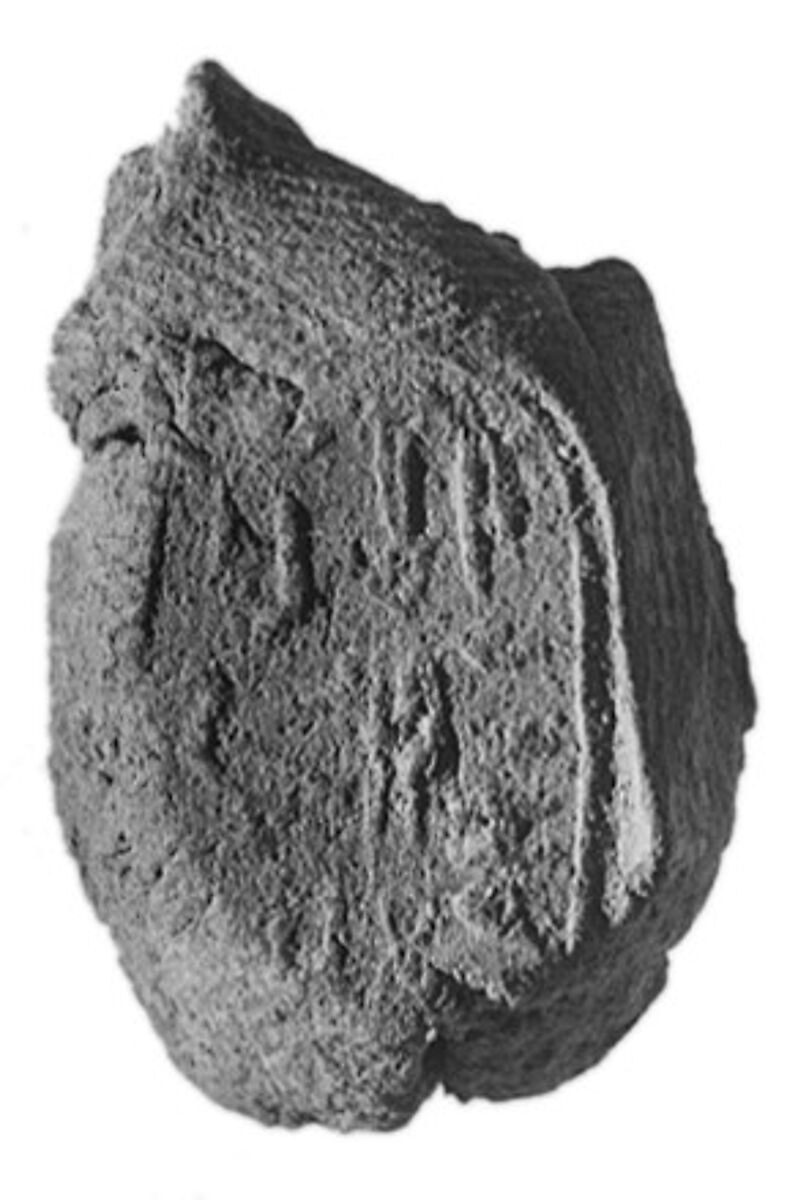 Sealing fragment, Clay (unfired) 