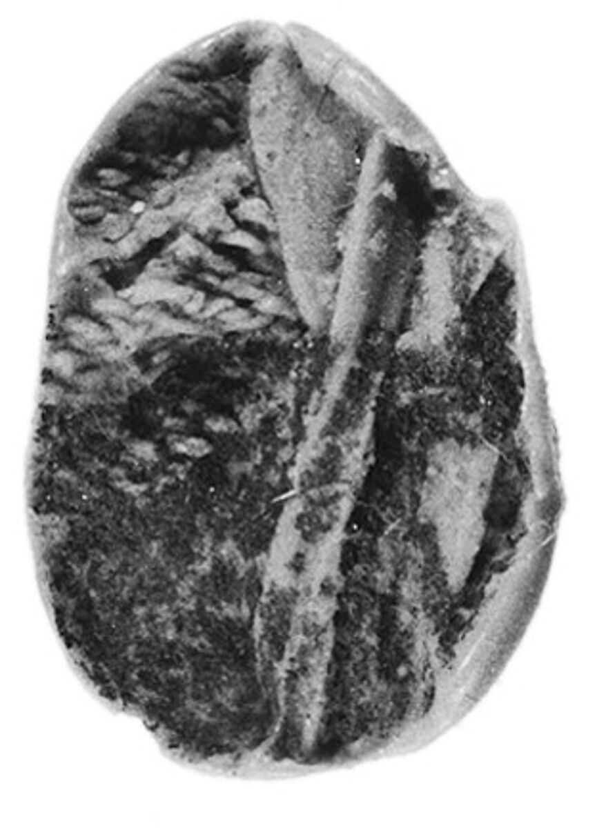 Sealing fragment, Clay (unfired)