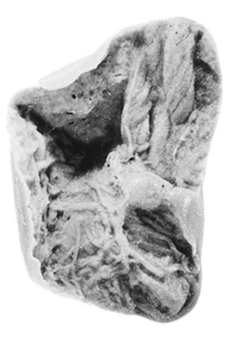 Sealing fragment, Clay (unfired)