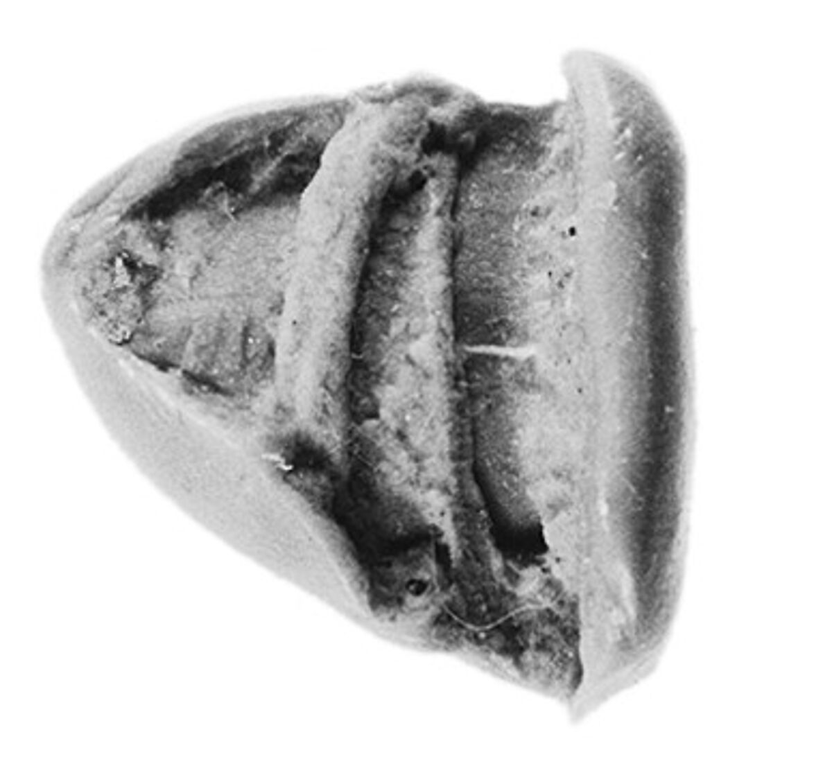 Sealing fragment, Clay (unfired)