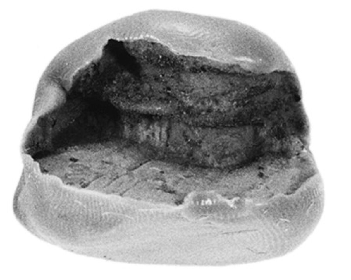 Sealing fragment, Clay (unfired)