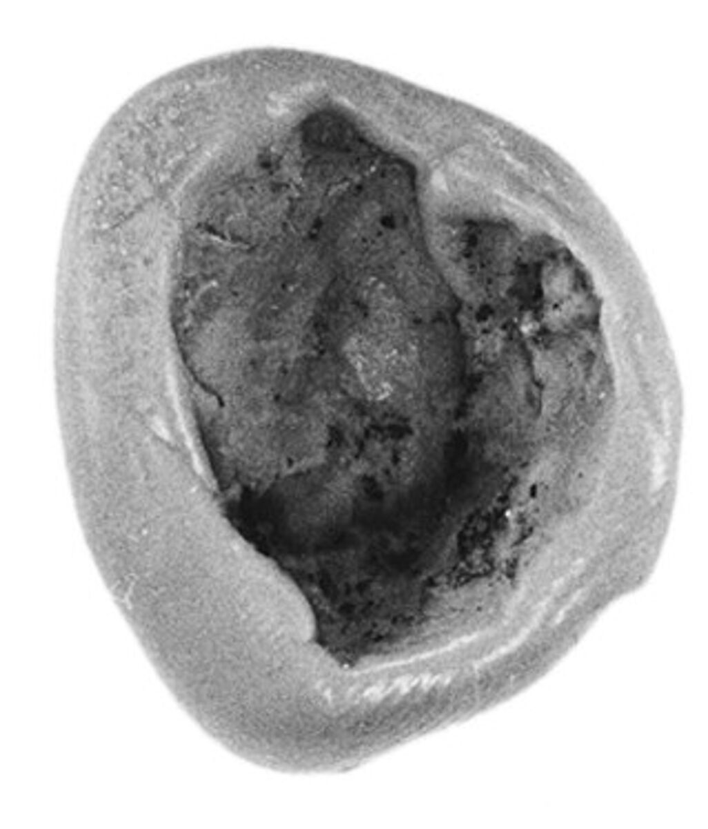 Sealing fragment, Clay (unfired)