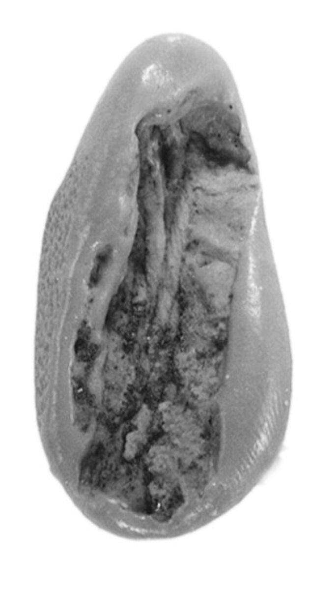 Sealing, Clay (unfired)