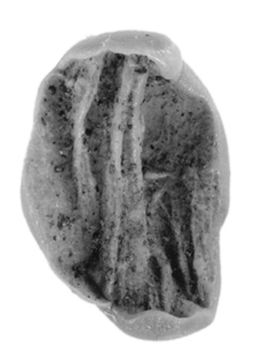 Sealing, Clay (unfired)