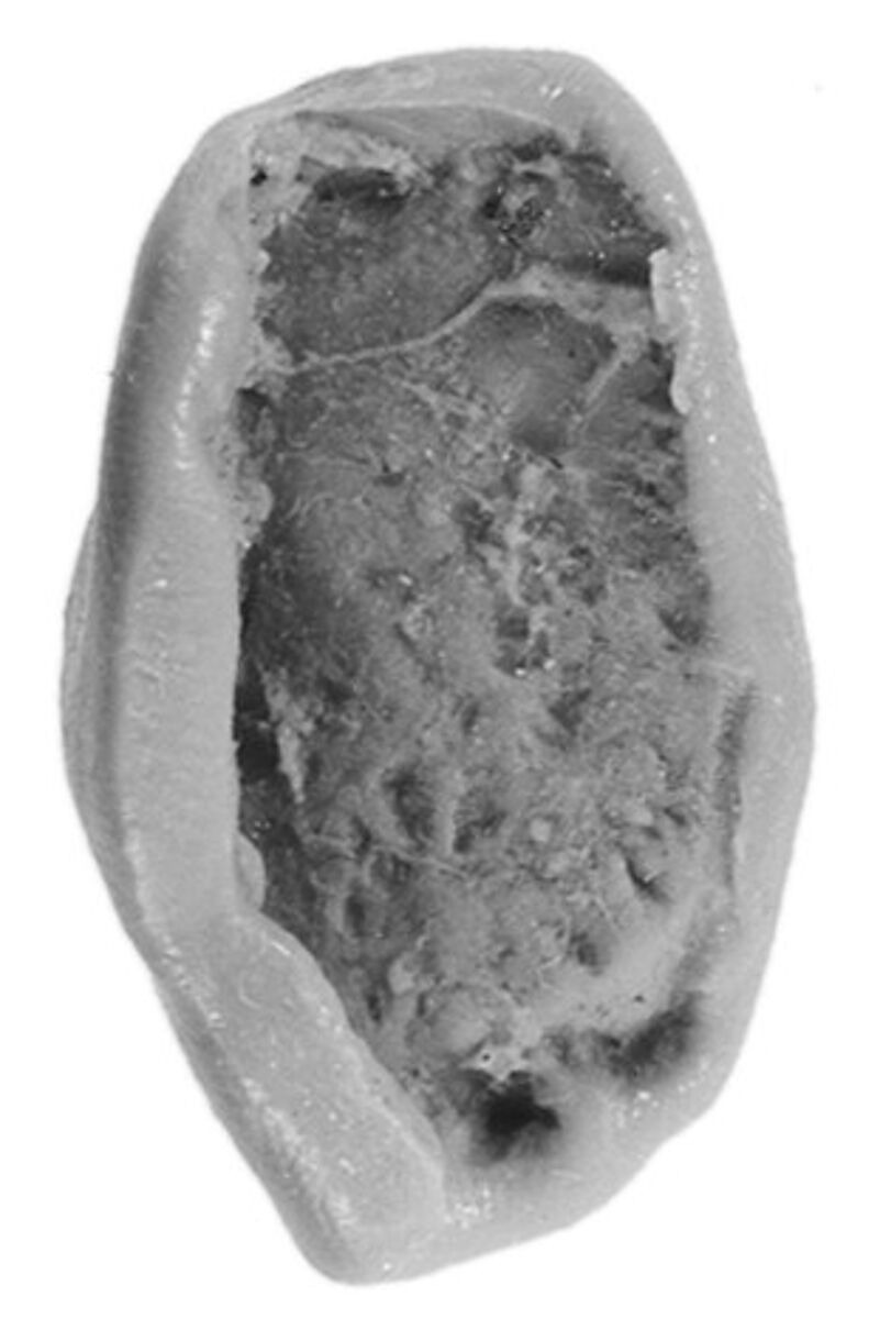 Sealing, Clay (unfired)