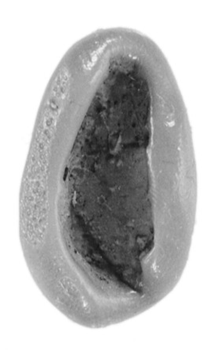 Sealing, Clay (unfired)