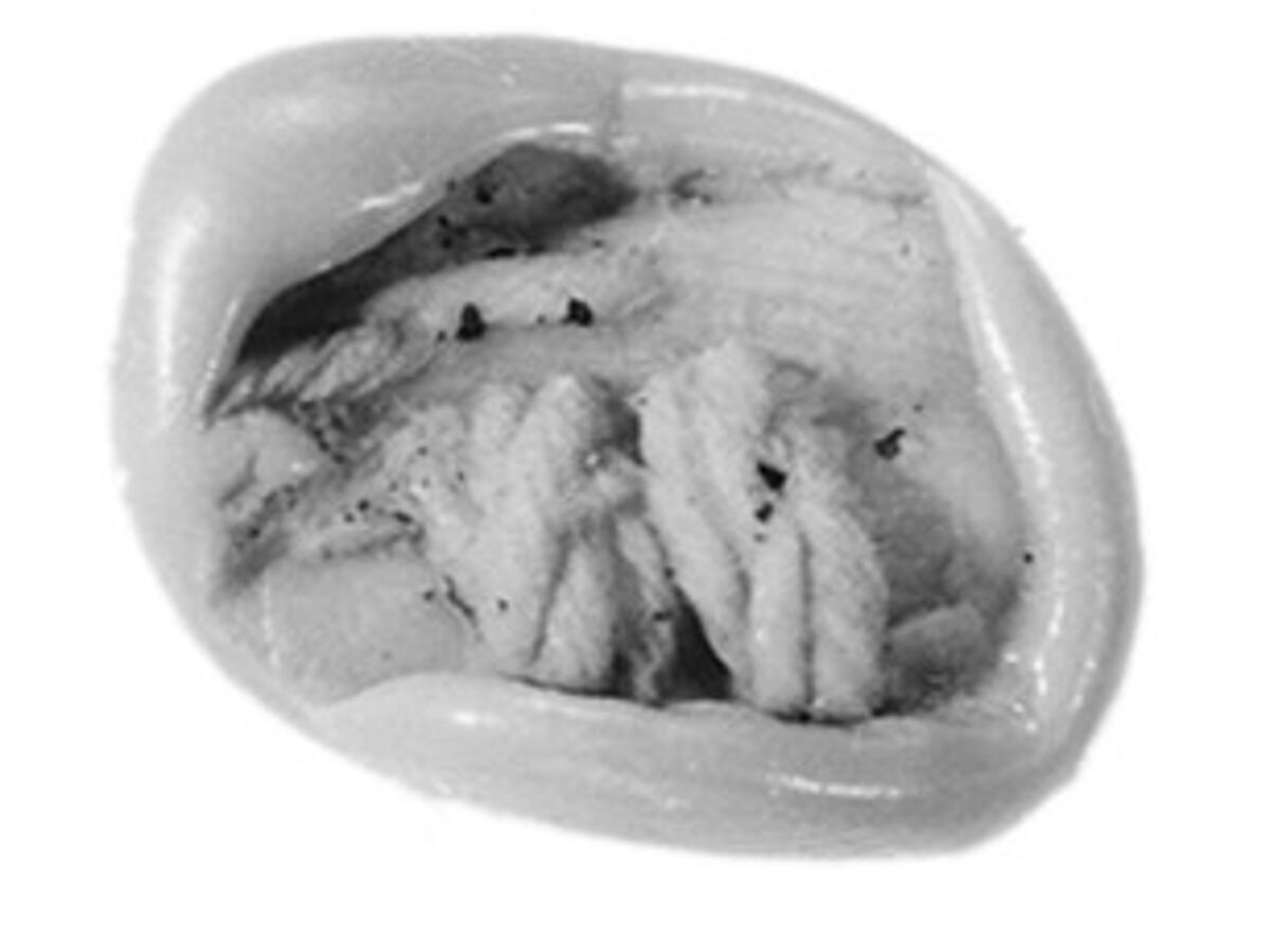 Sealing, Clay (unfired)