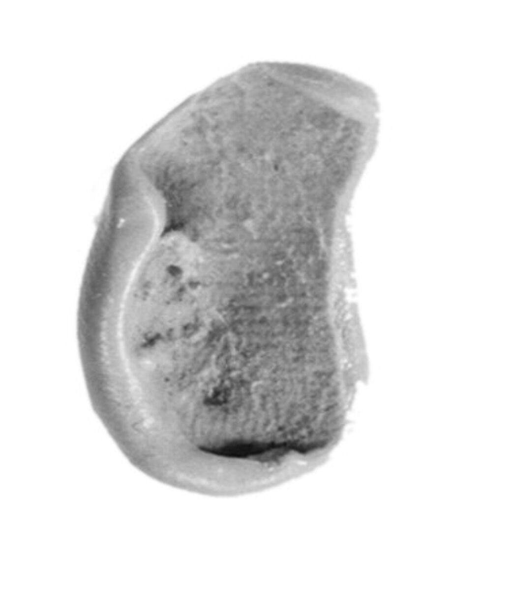 Sealing, Clay (unfired)