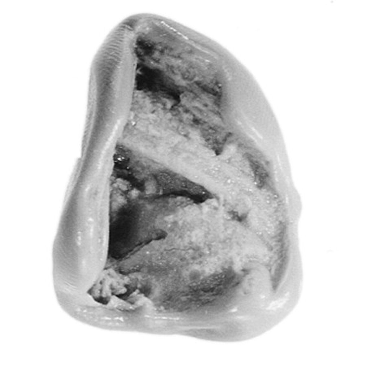 Sealing, Clay (unfired)