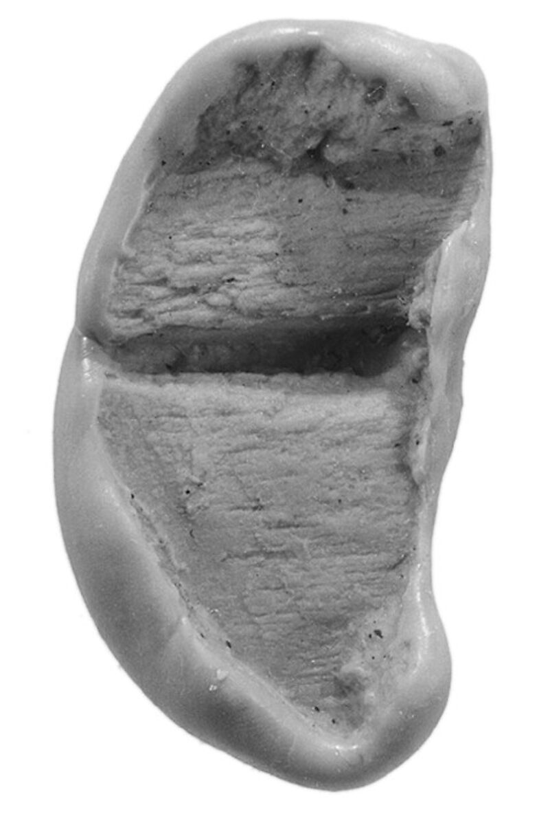 Sealing, Clay (unfired)