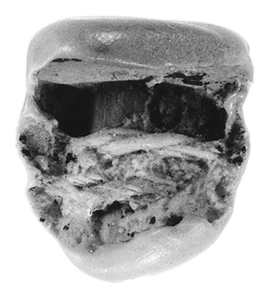 Sealing fragment, Clay (unfired)