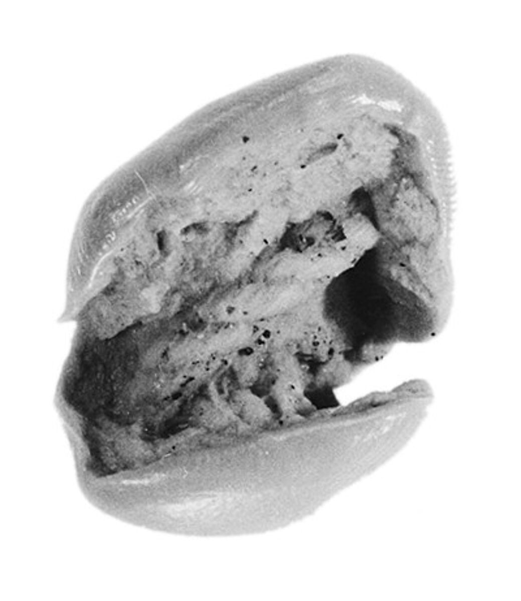 Sealing fragment, Clay (unfired)