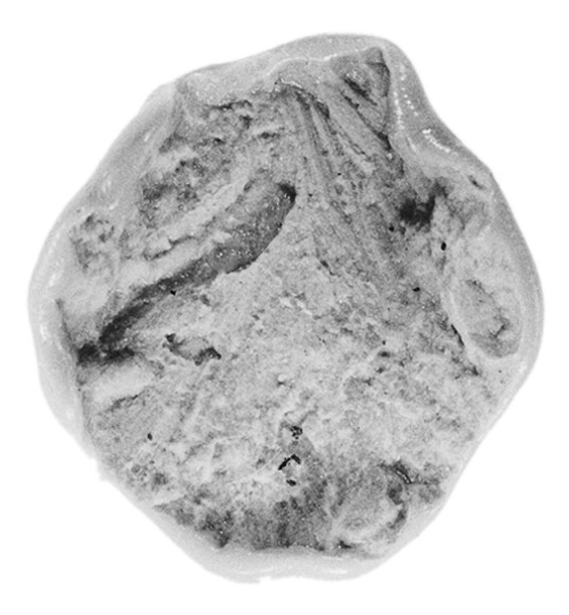 Sealing fragment, Clay (unfired)