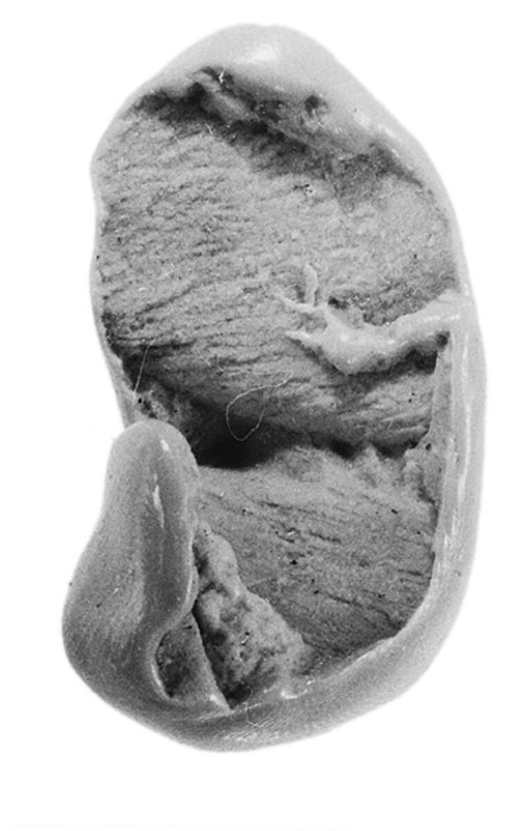Sealing fragment, Clay (unfired)