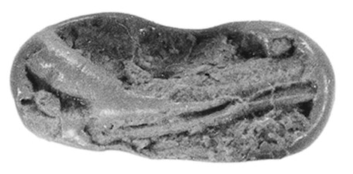 Sealing fragment, Clay (unfired)