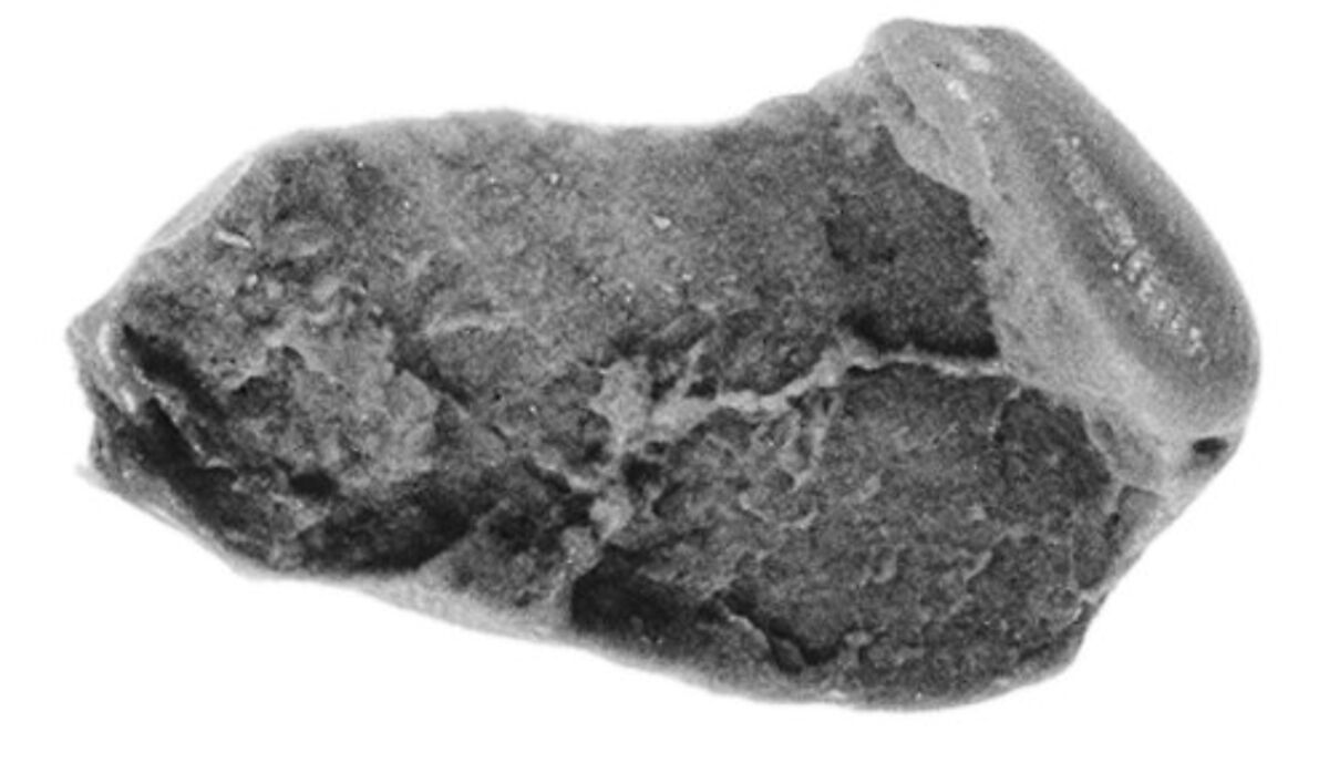 Sealing fragment, Clay (unfired)