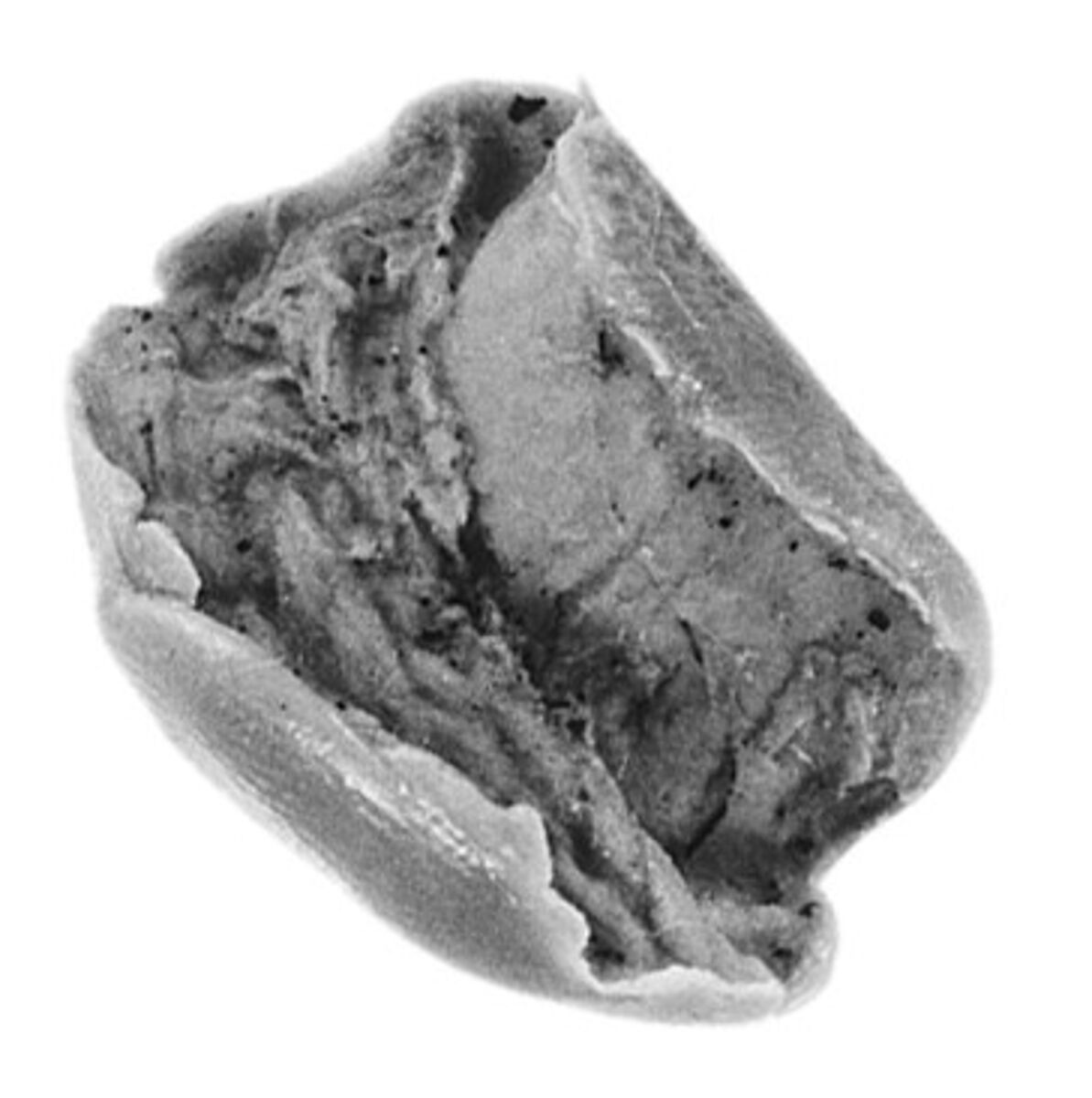Sealing, Clay (unfired)
