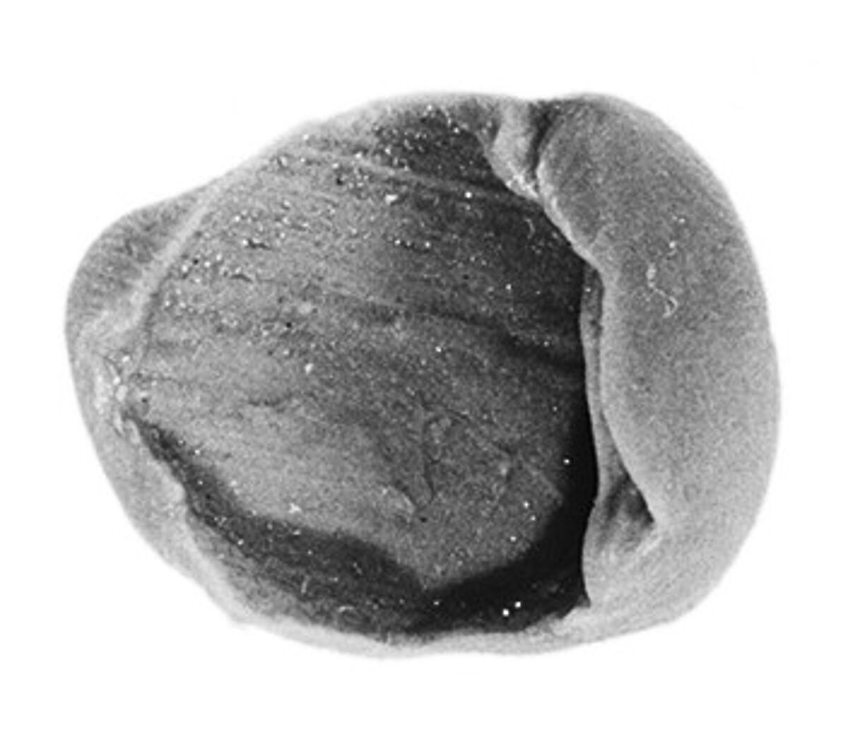 Sealing, Clay (unfired)