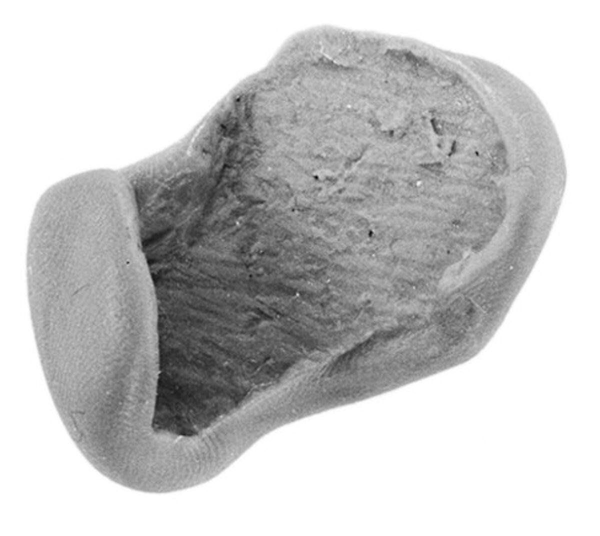 Sealing, Clay (unfired)