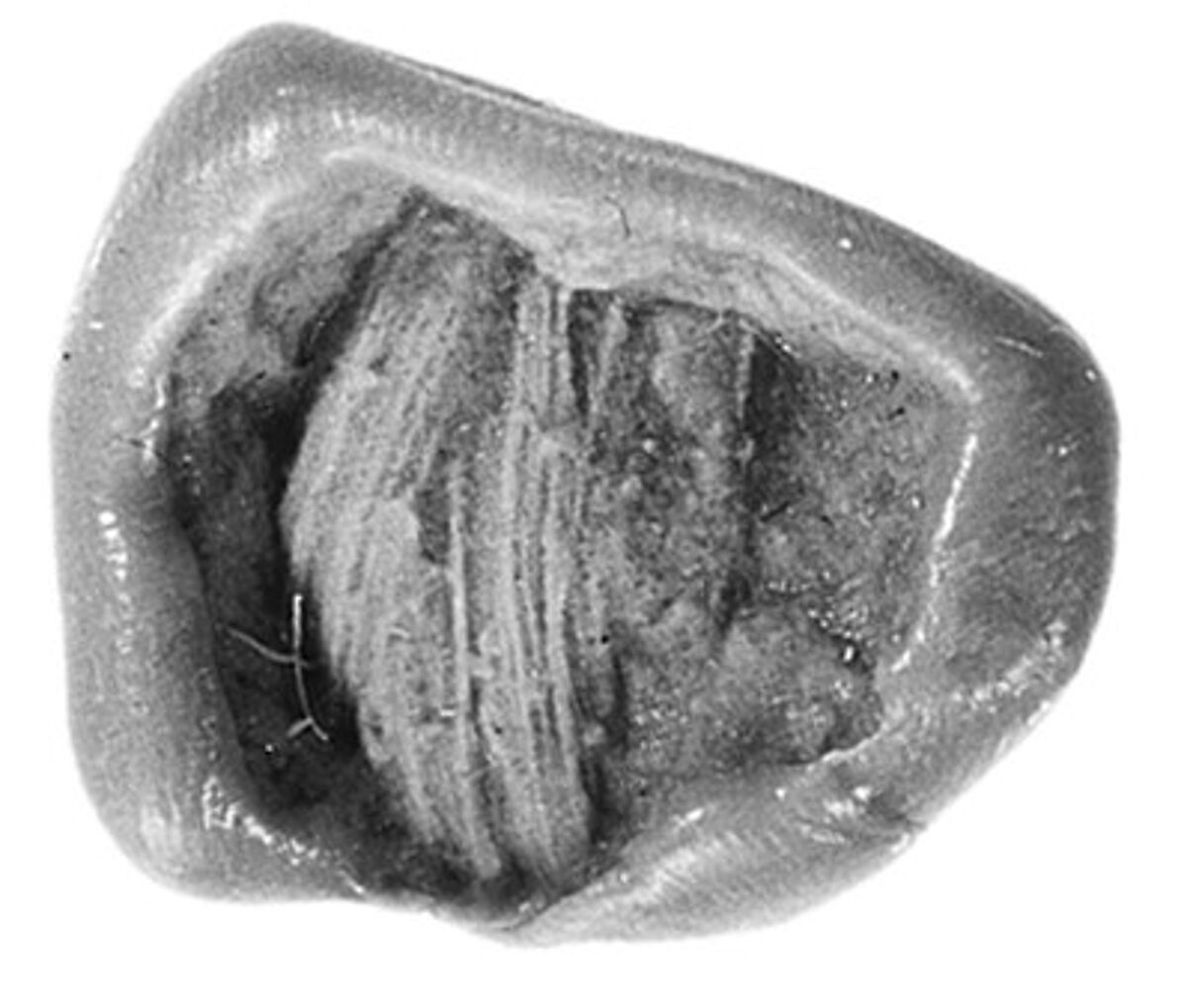 Sealing, Clay (unfired)