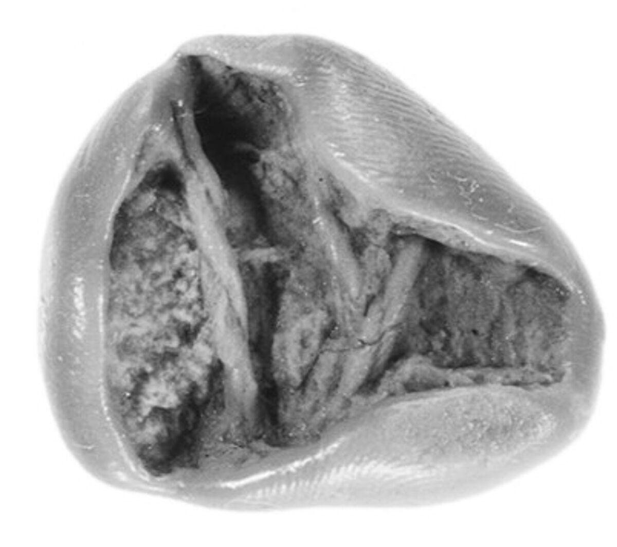 Sealing, Clay (unfired)