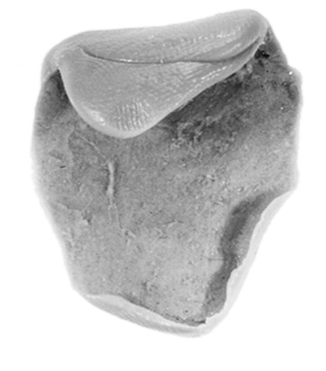 Sealing, Clay (unfired)