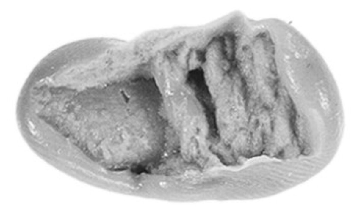Sealing, Clay (unfired)