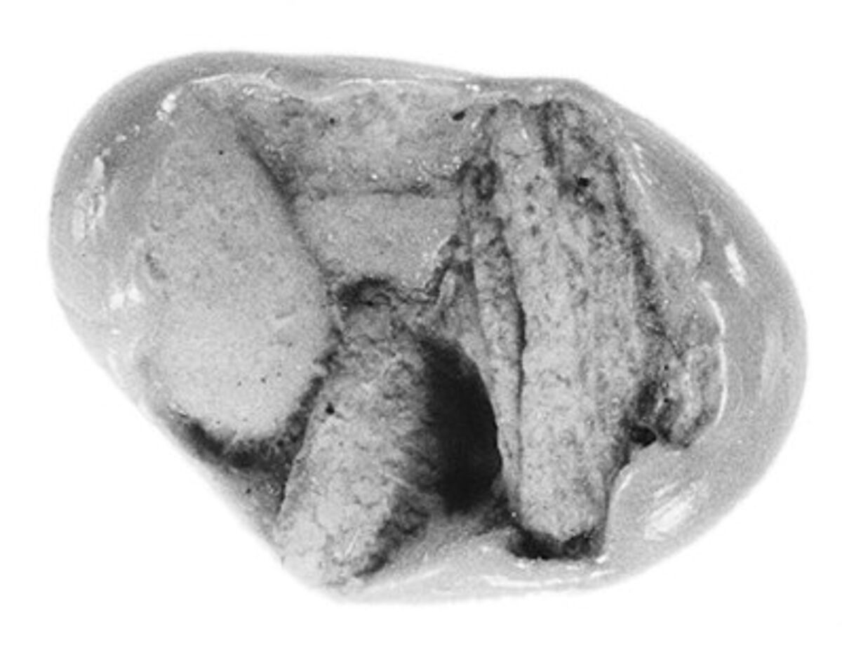 Sealing fragment, Clay (unfired)