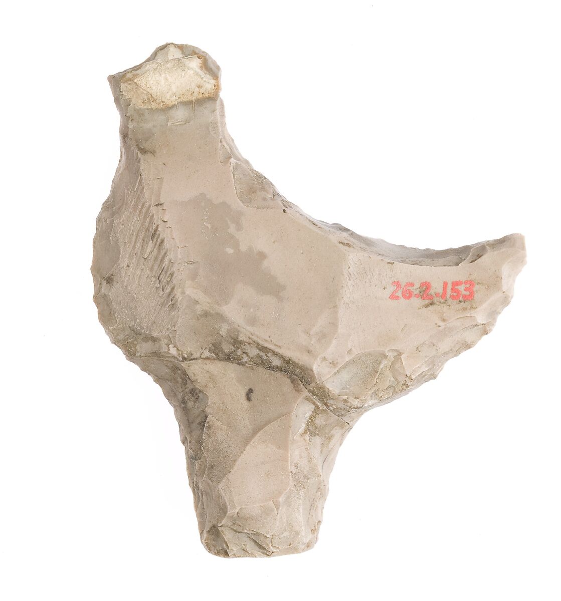Flint shaped like a bird, Flint
