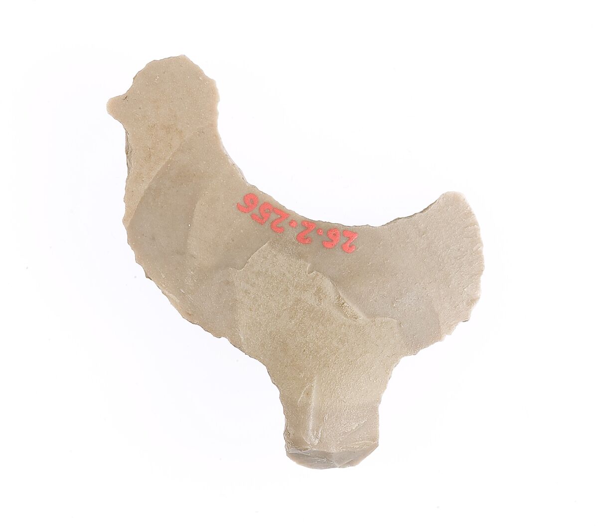 Flint shaped like a bird, Flint